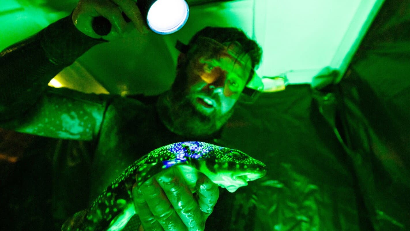 Alien Sharks: Untamed America - Preview & Review