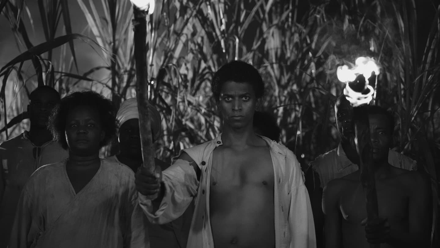 Black Zombie Review: Doc Unearths Painful Real History