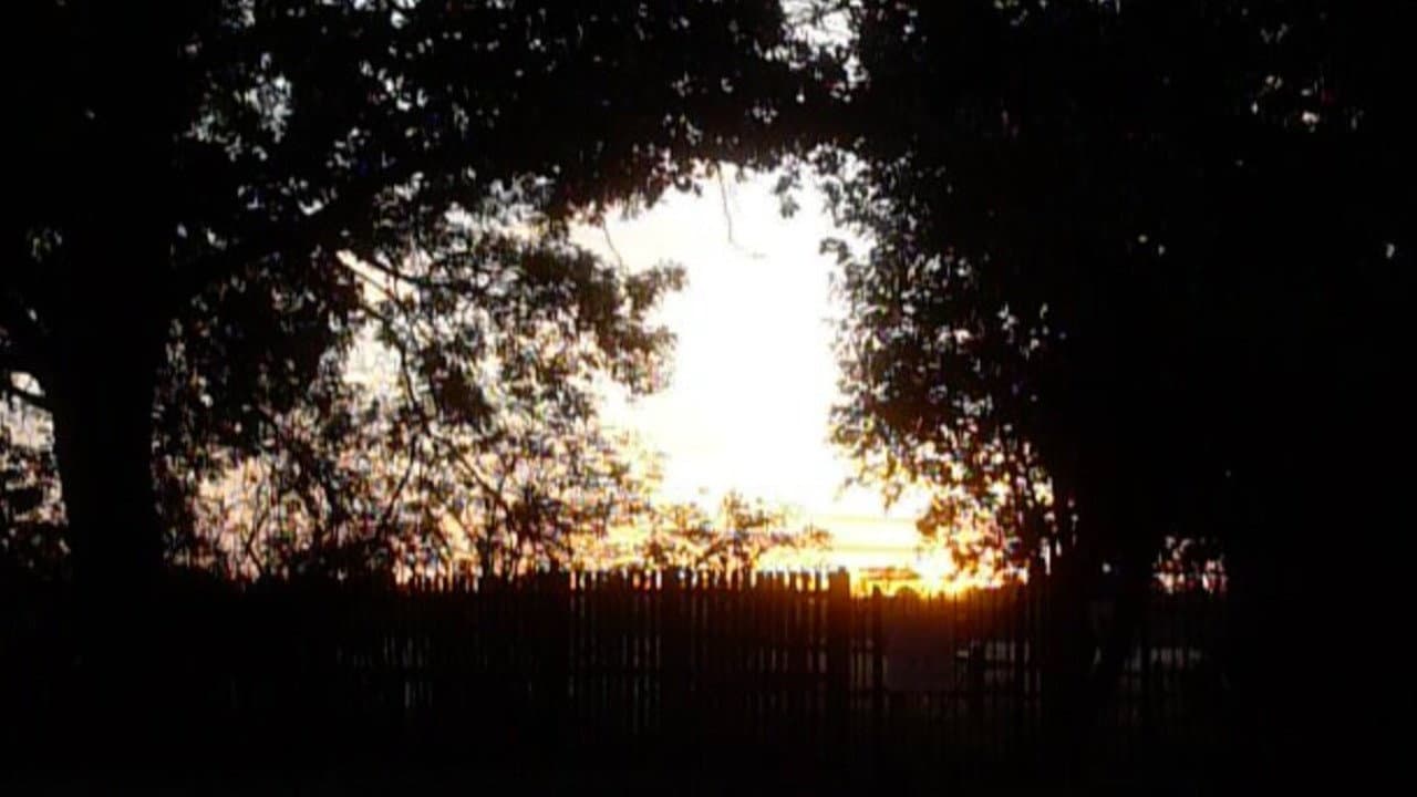 Garden Sanctuary (2026): A Three-Minute Autumn Walk