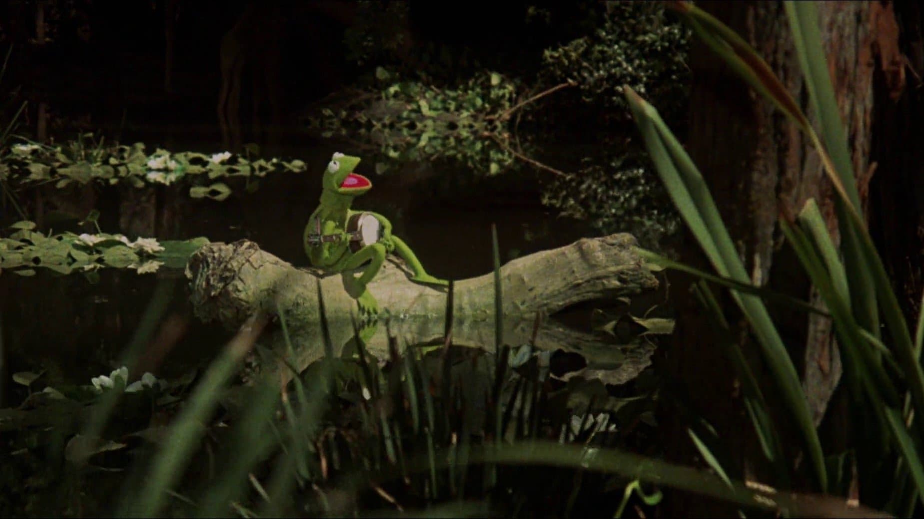 The Muppet Movie: News, Updates & Exclusive Details