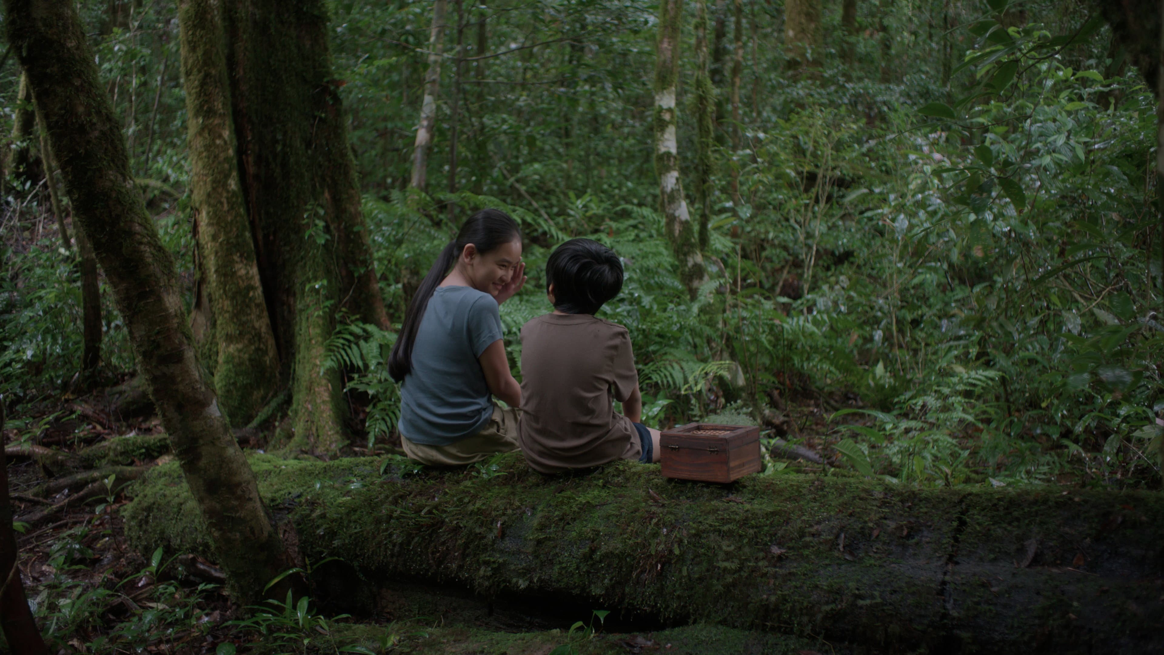Hearing (2026): Lê Bảo’s New Film - News & Updates