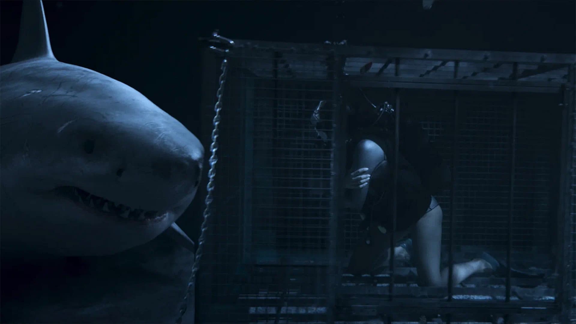 Above & Below (2026): Jesse V. Johnson's Brutal Sea
