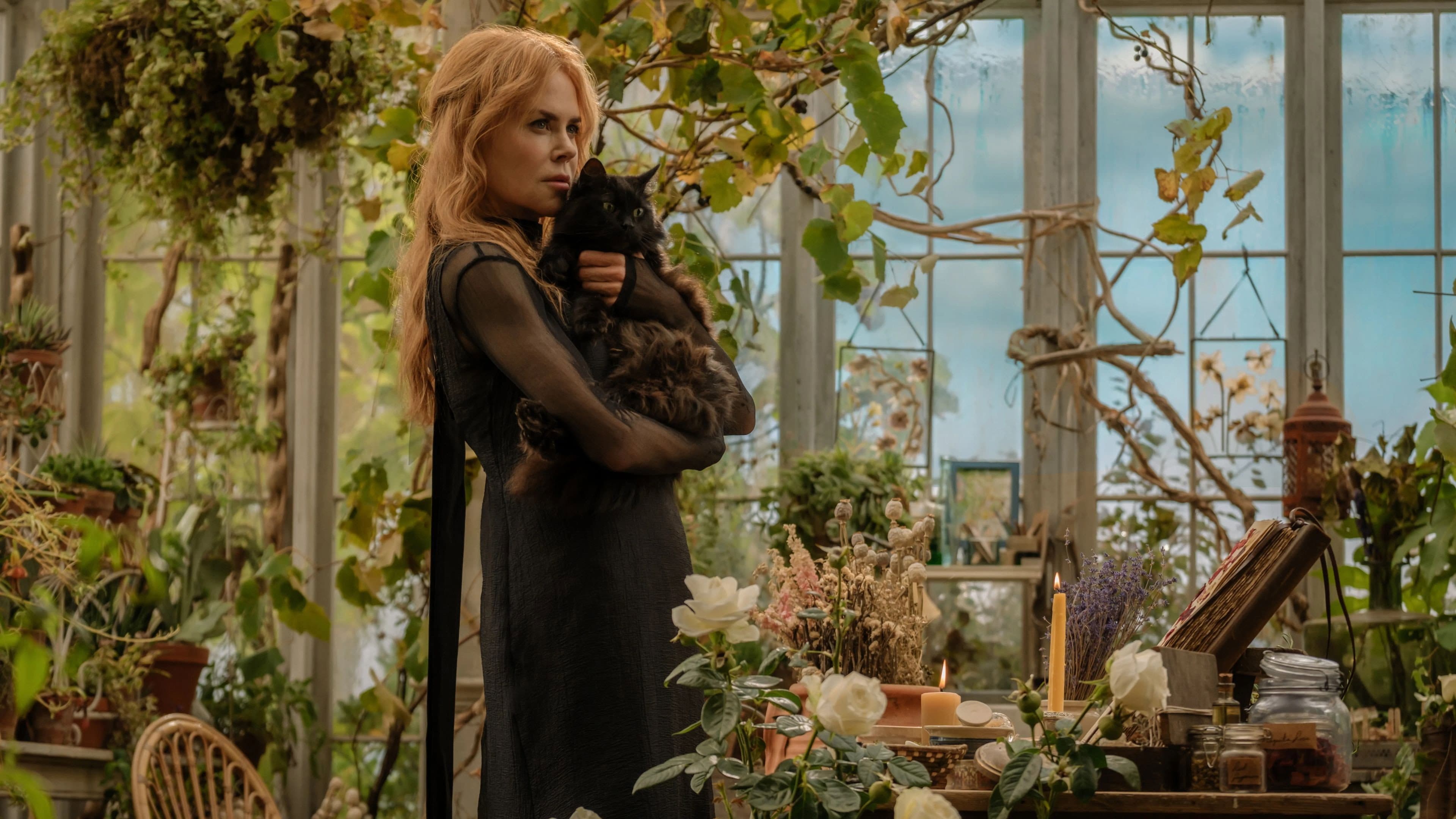 Practical Magic 2 Sequel News: Release, Cast & Updates