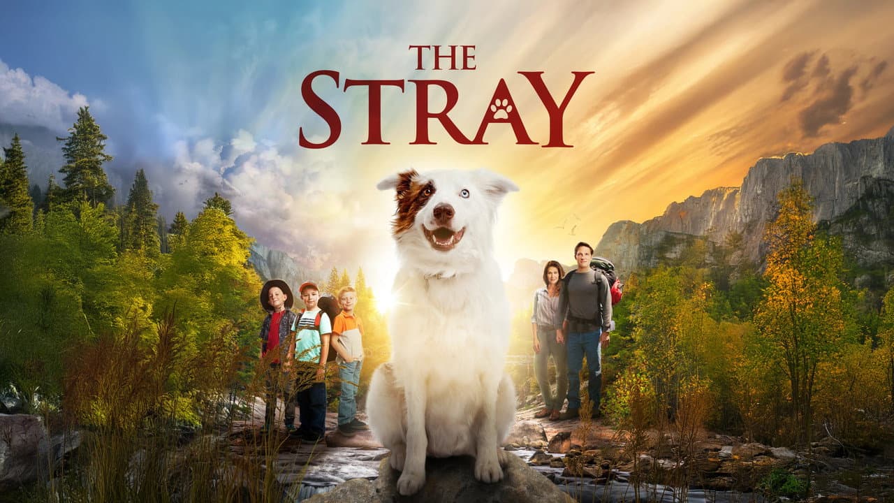 The Stray still 6