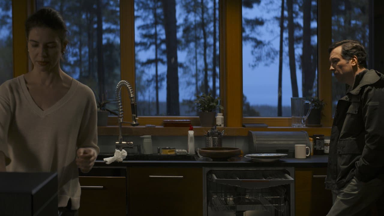 Minotaur: Zvyagintsev's Cannes Winner Trailer still 4