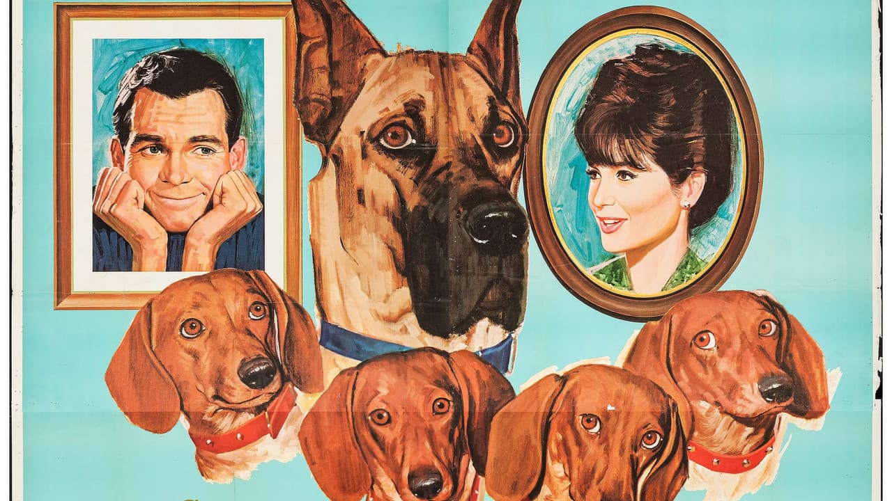The Ugly Dachshund still 8