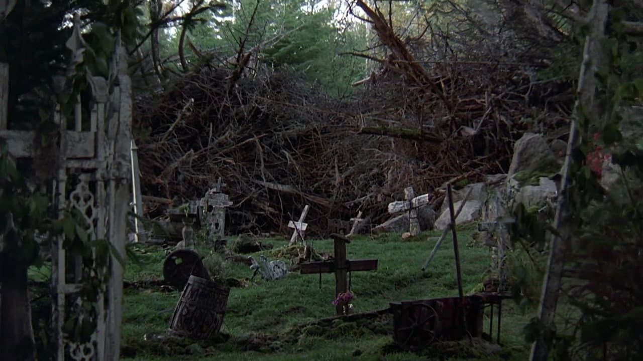 Pet Sematary still 6