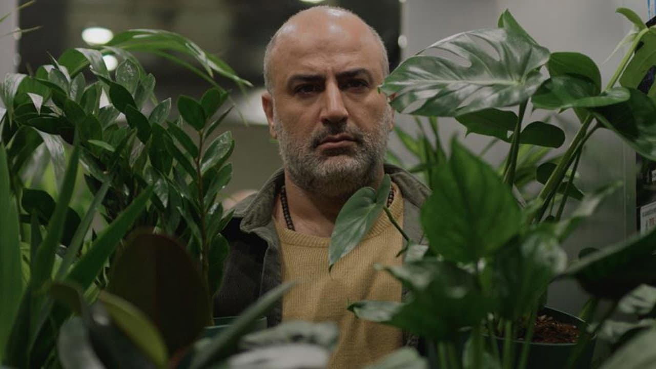 A Bit of Light (2026) - Ali Asgari Film News still 2
