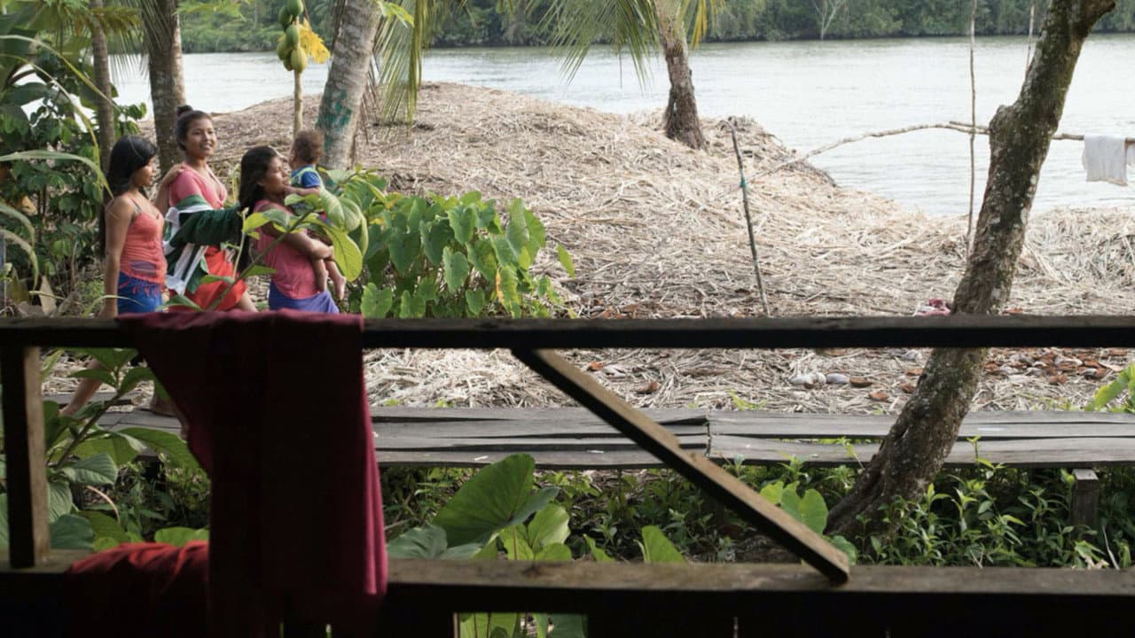 Where the River Begins (2026) - Film News still 3
