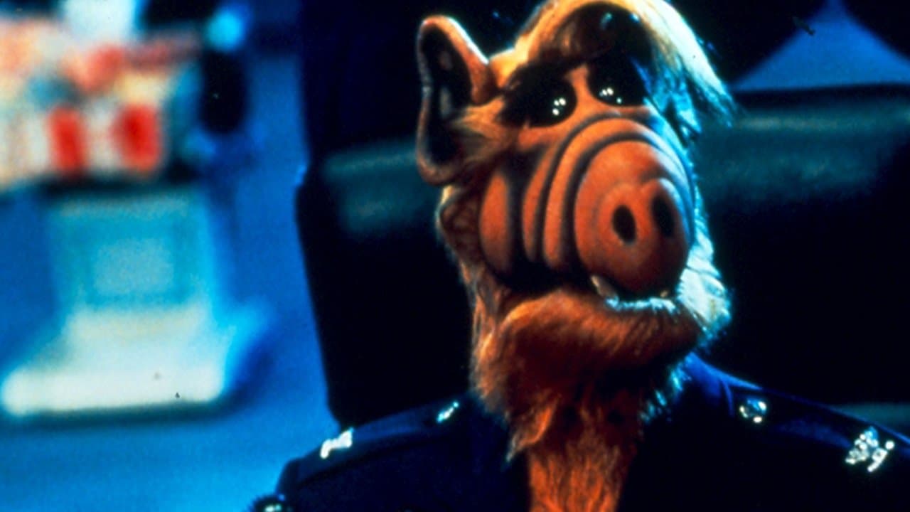 Project: ALF still 2