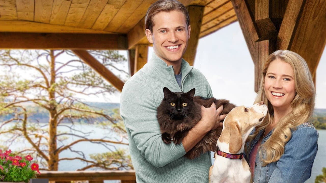 Like Cats & Dogs still 1