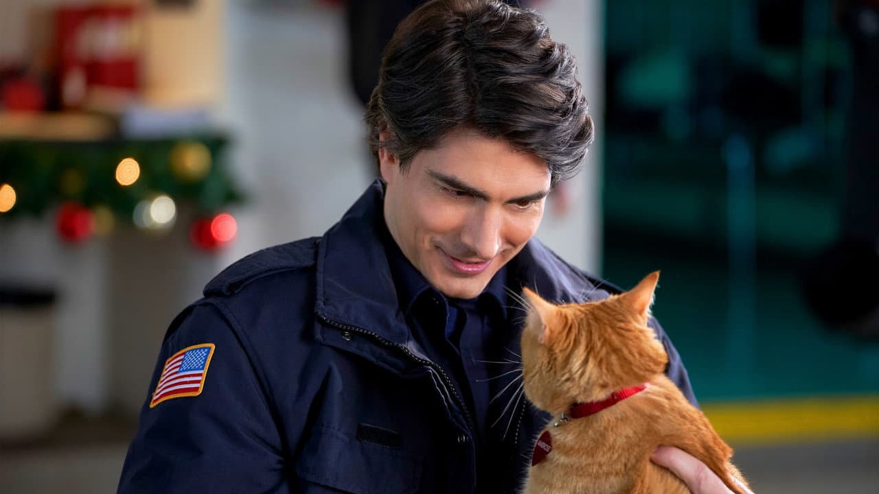 The Nine Kittens of Christmas still 3