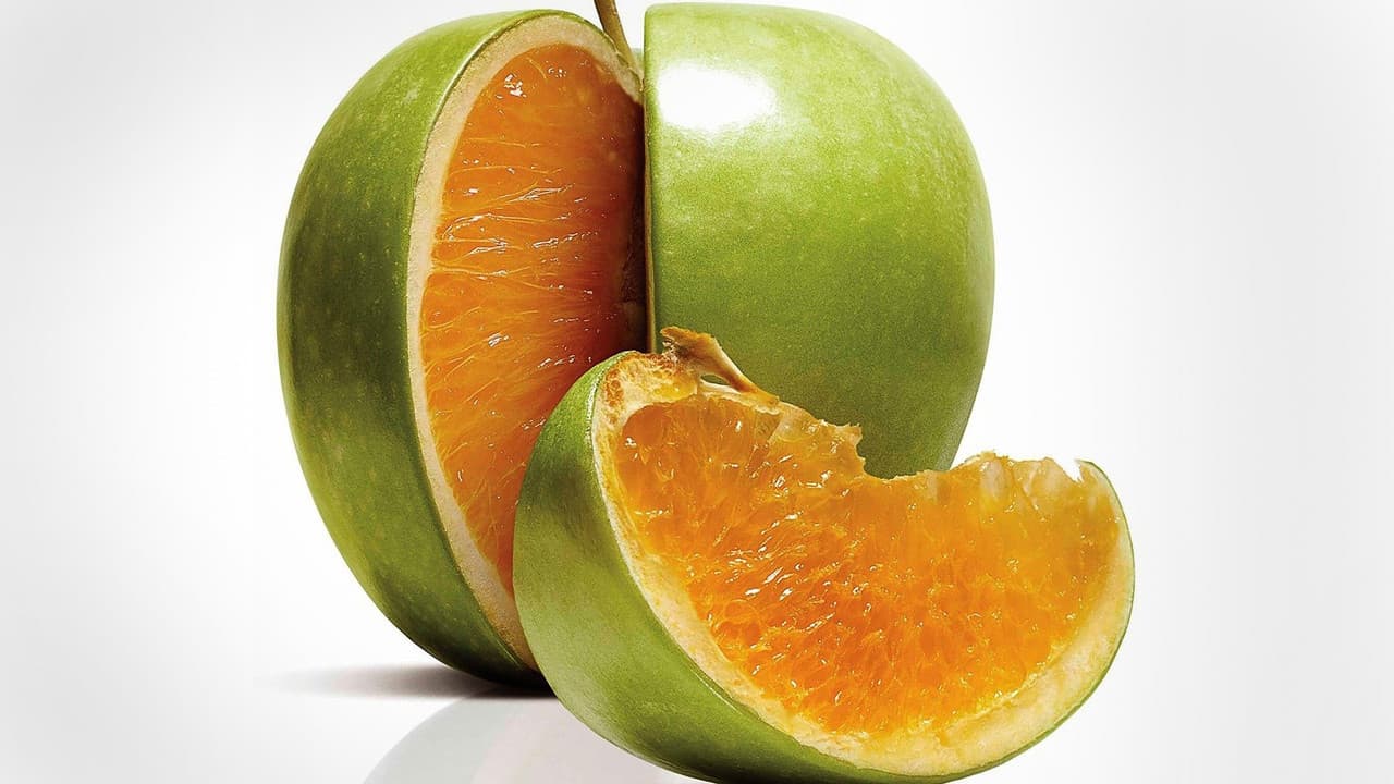 Freakonomics still 6