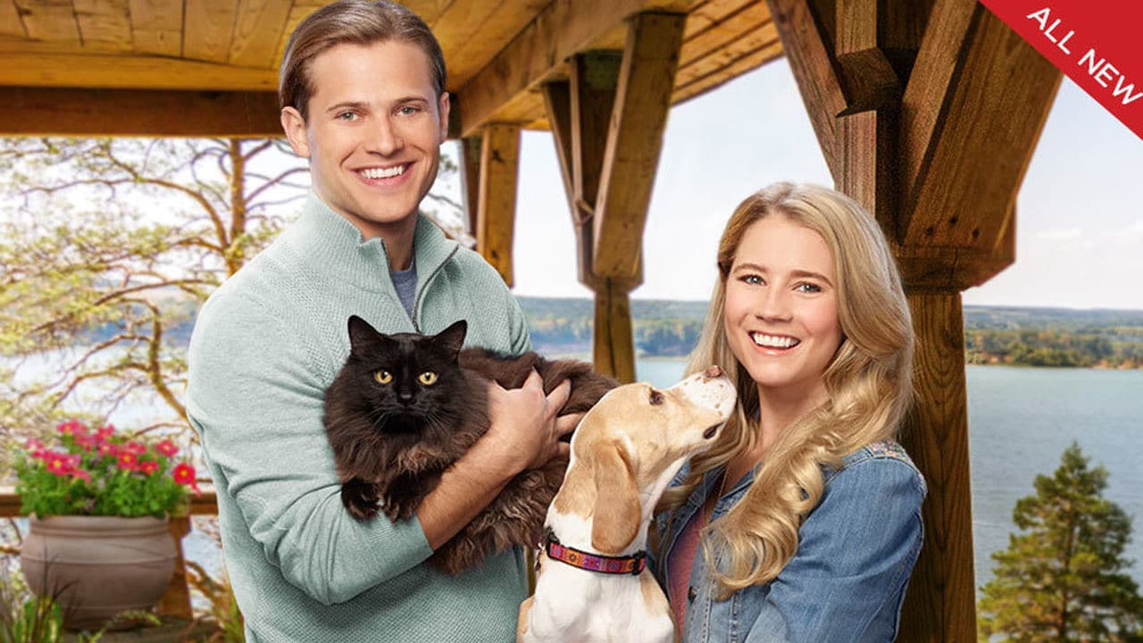 Like Cats & Dogs still 4