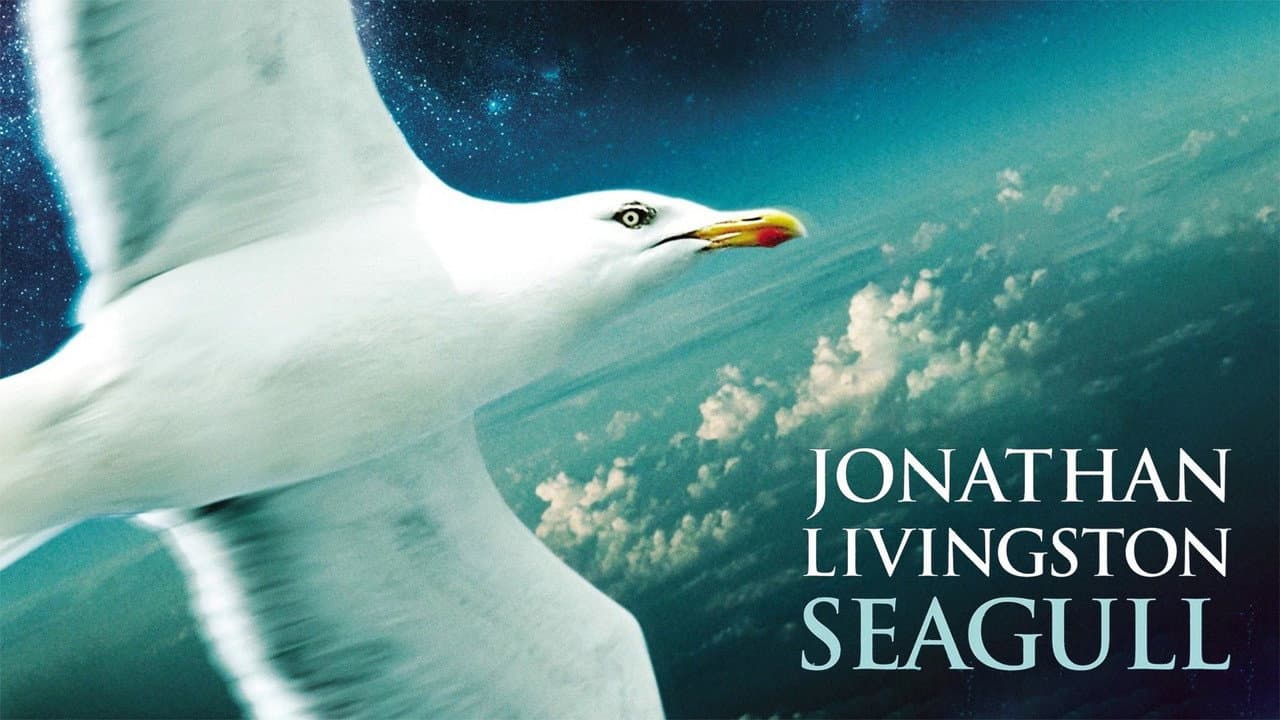Jonathan Livingston Seagull still 4