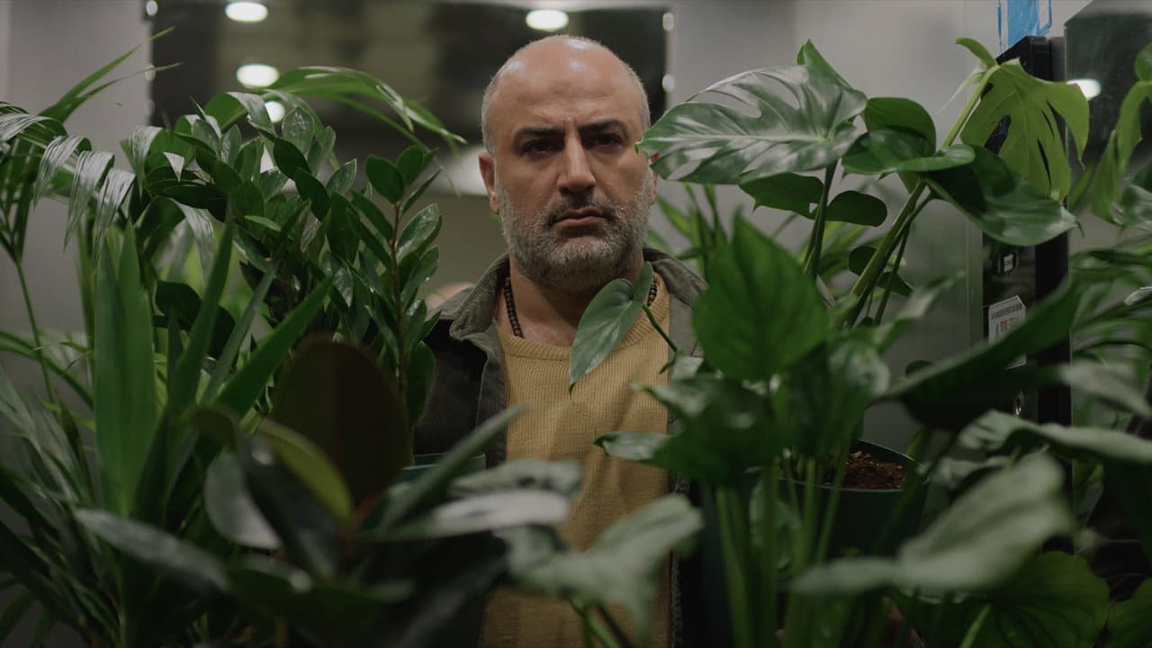 A Bit of Light (2026) - Ali Asgari Film News still 1