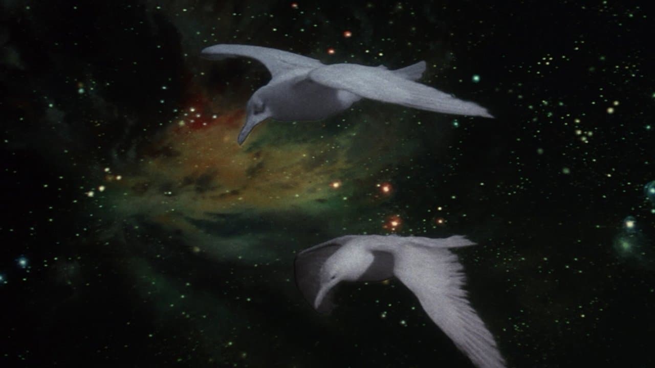 Jonathan Livingston Seagull still 1