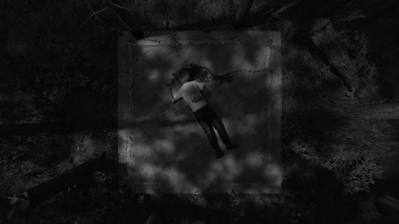 "Variations on Violence" Wins Oldenburg Film Festival still 2