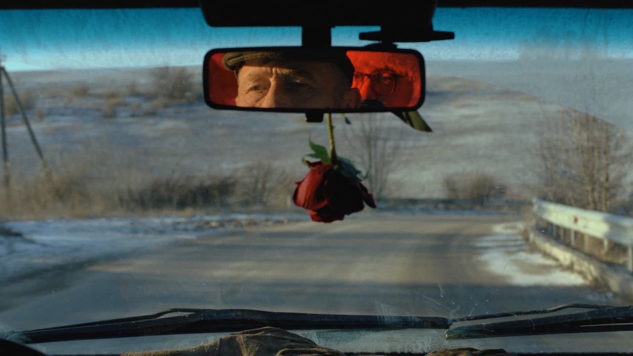 I Rarely Wake Up Dreaming (2026) - Isabelle Stever Film still 1