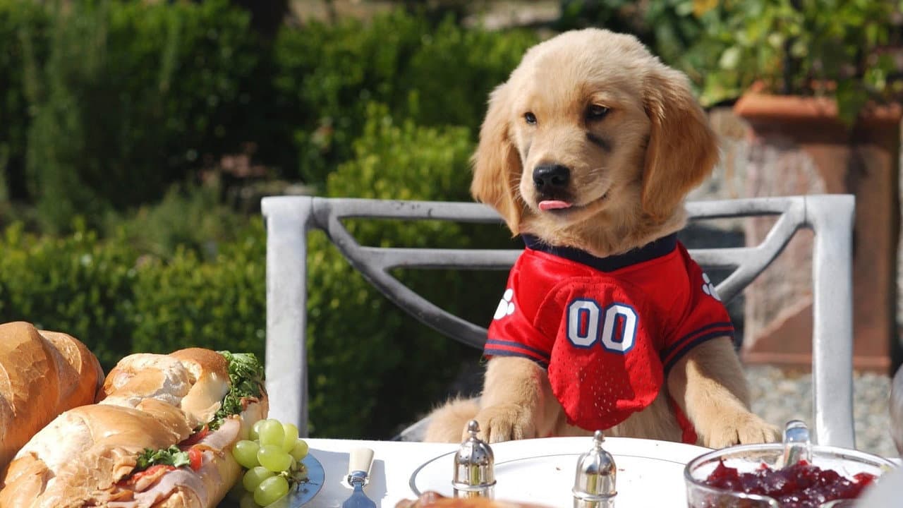 Air Buddies still 4