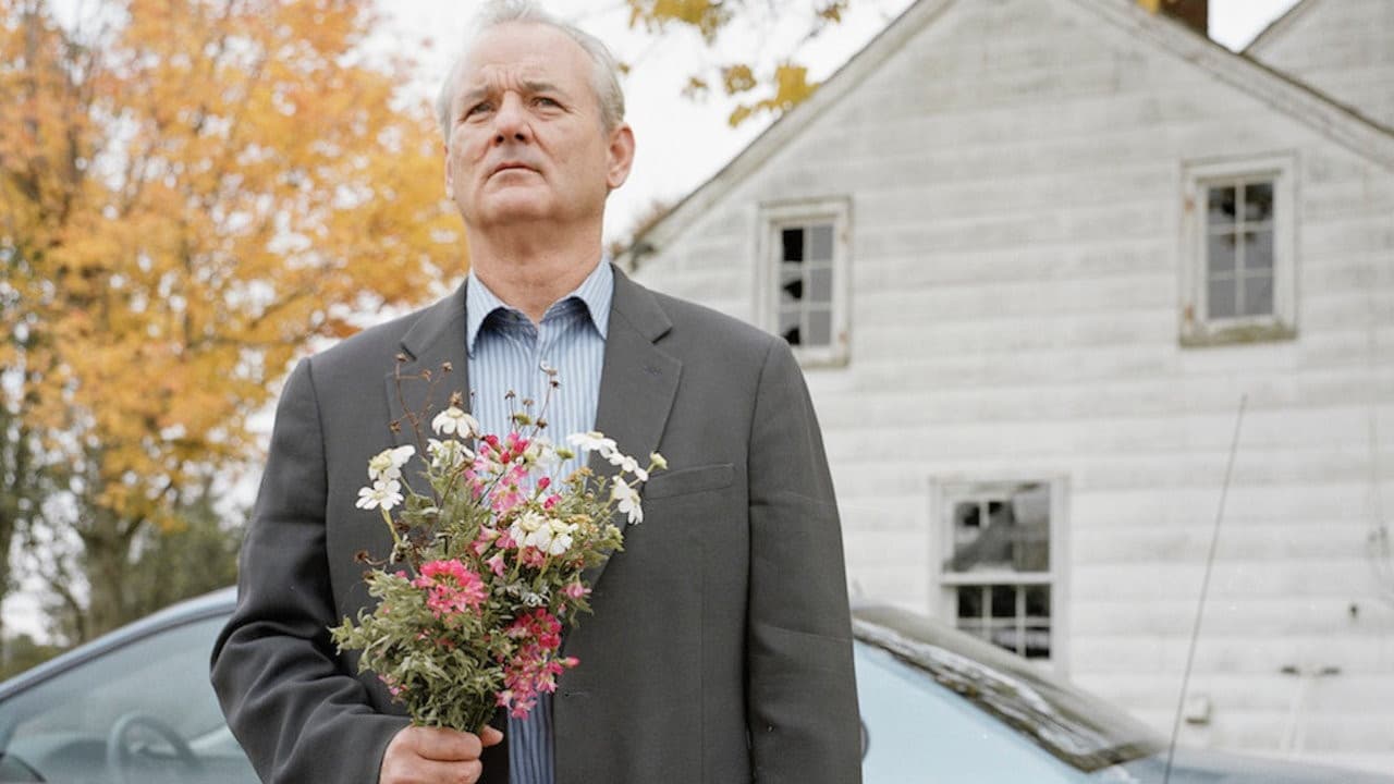 Broken Flowers still 5