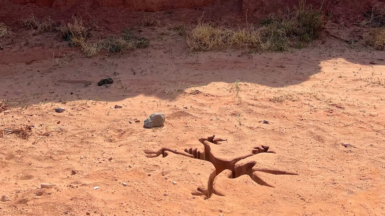 Coyote vs. Acme Movie News: Release & Updates still 3