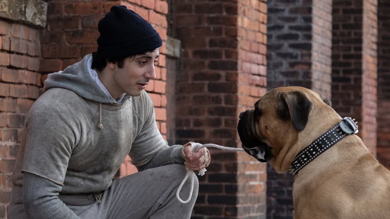 AFI Fest 2026 Adds I Play Rocky and Four More Films still 3