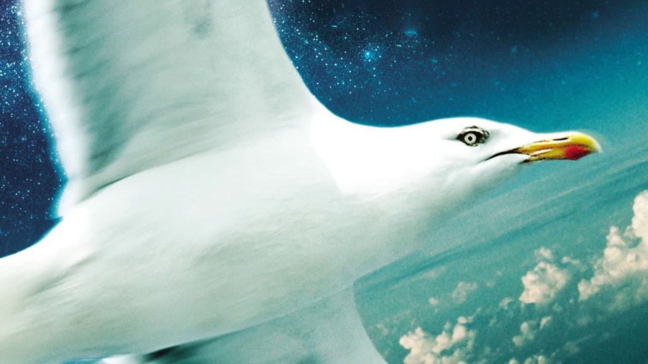 Jonathan Livingston Seagull still 2