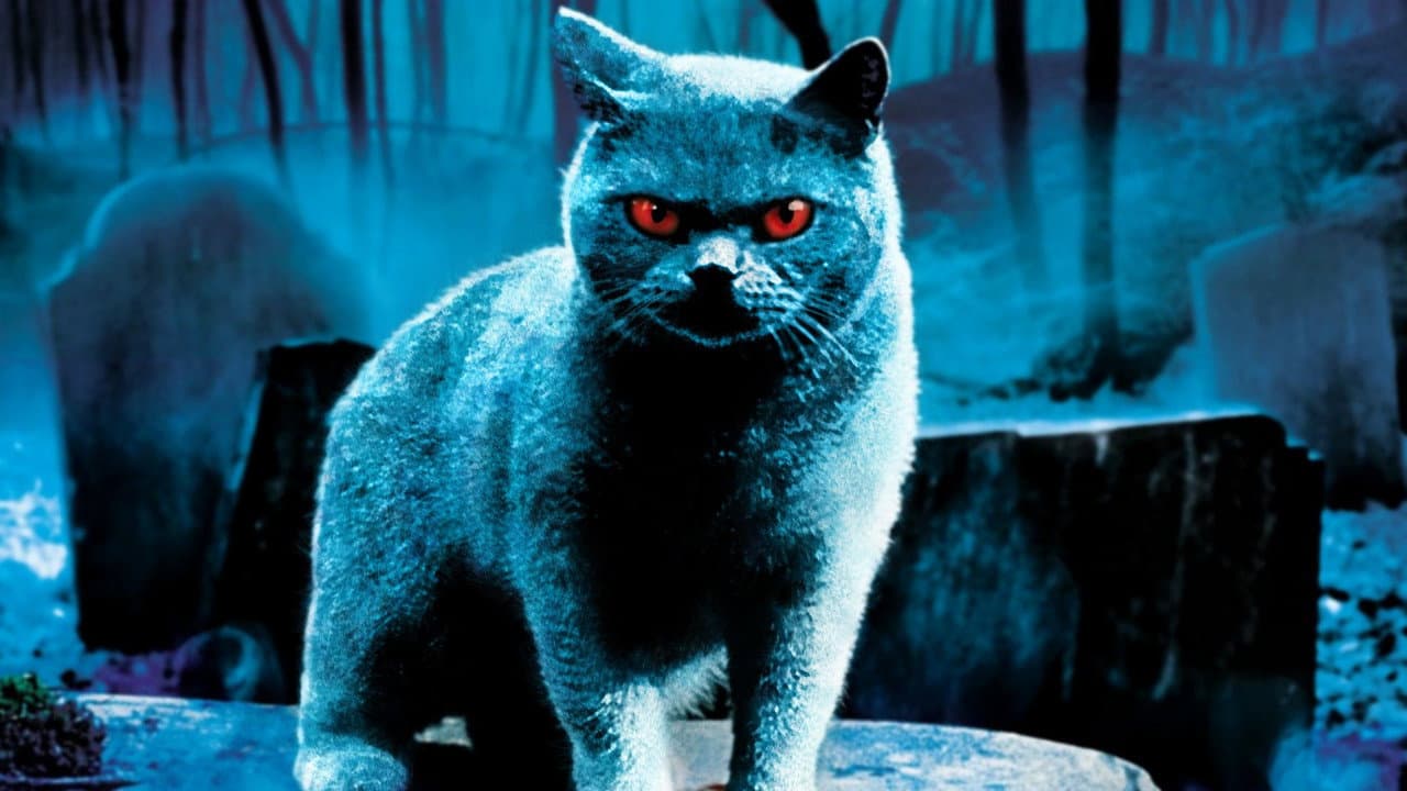 Pet Sematary still 8