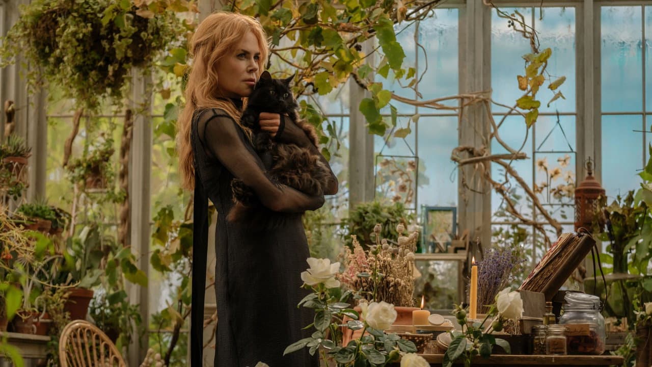 Practical Magic 2 Sequel News: Release, Cast & Updates still 1