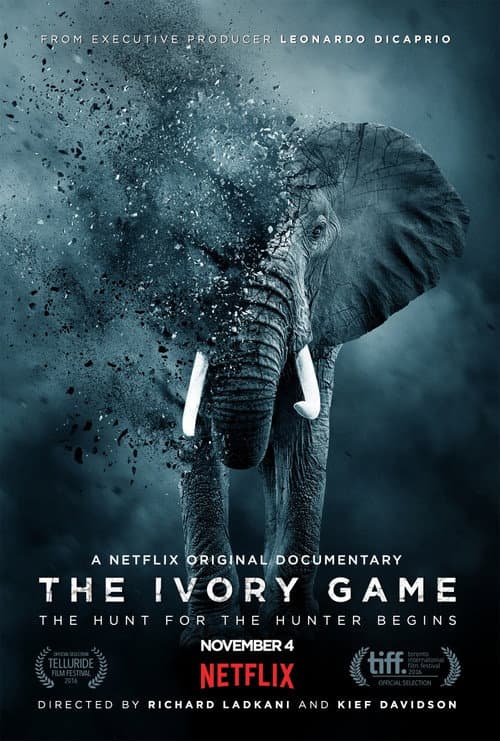 The Ivory Game still 5