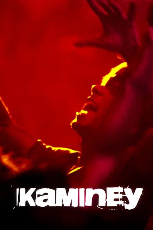 Kaminey still 7
