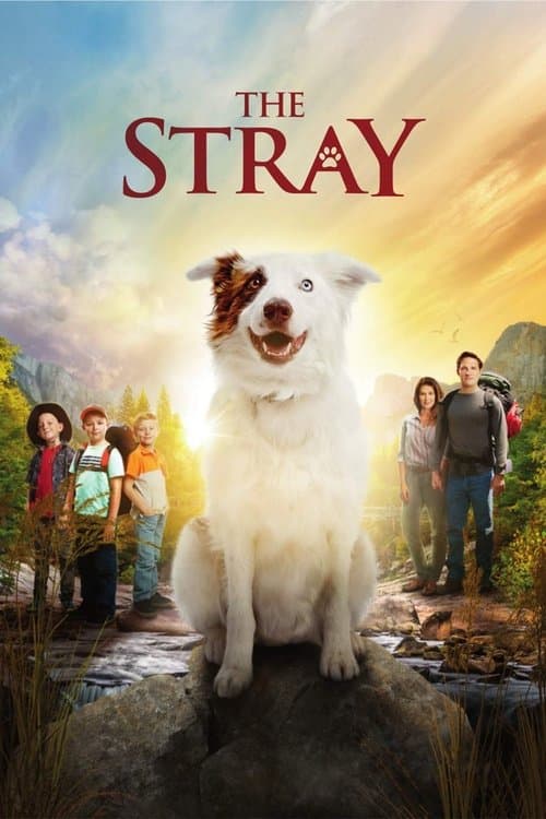 The Stray still 7