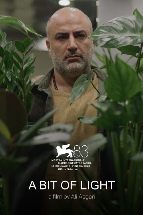 A Bit of Light (2026) - Ali Asgari Film News still 3