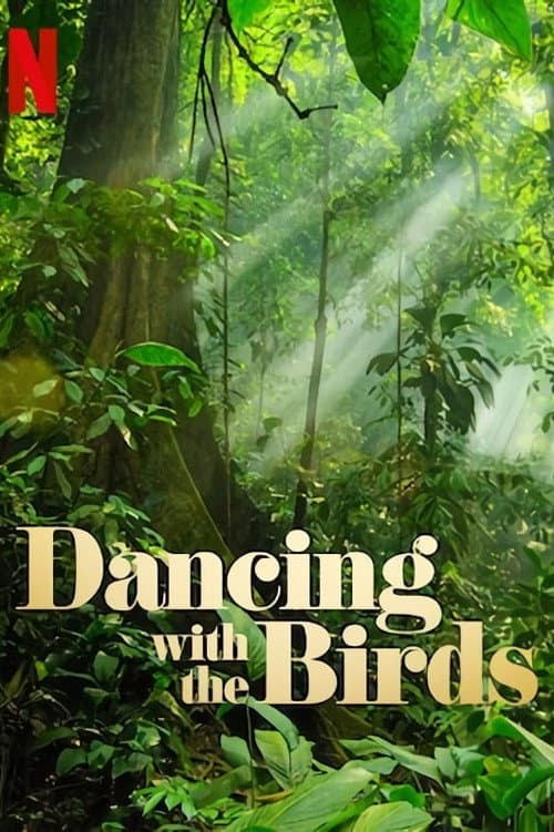 Dancing with the Birds still 5