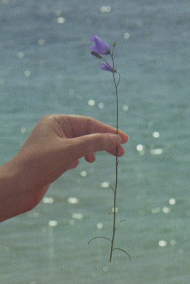 Loinnir: A Six-Minute Irish Home Movie Mystery