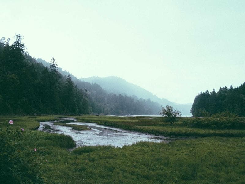 Locarno Pro Tackles AI, Algorithms, and Consolidation