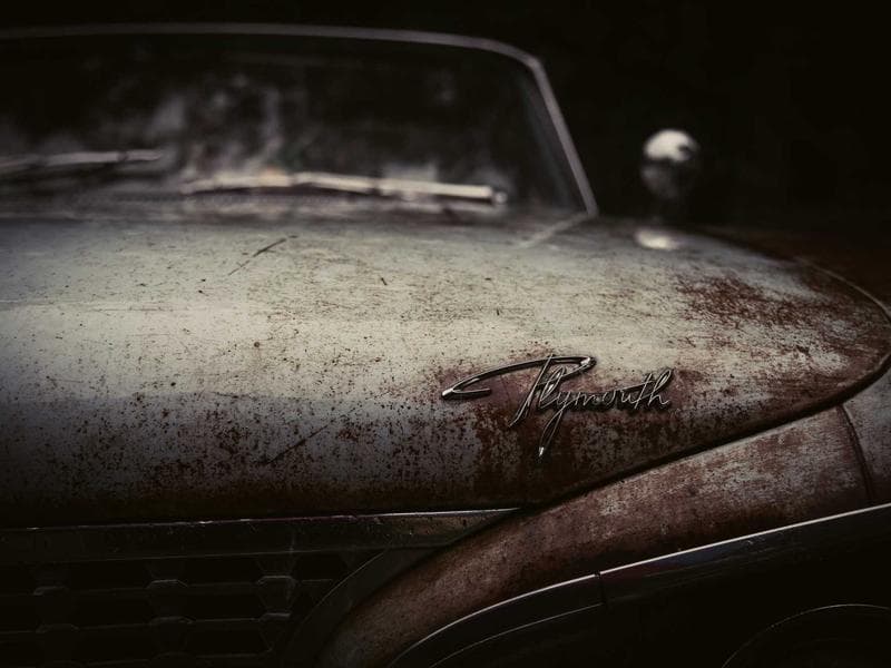 Wildcards Movie News: Release Date & Cast Updates