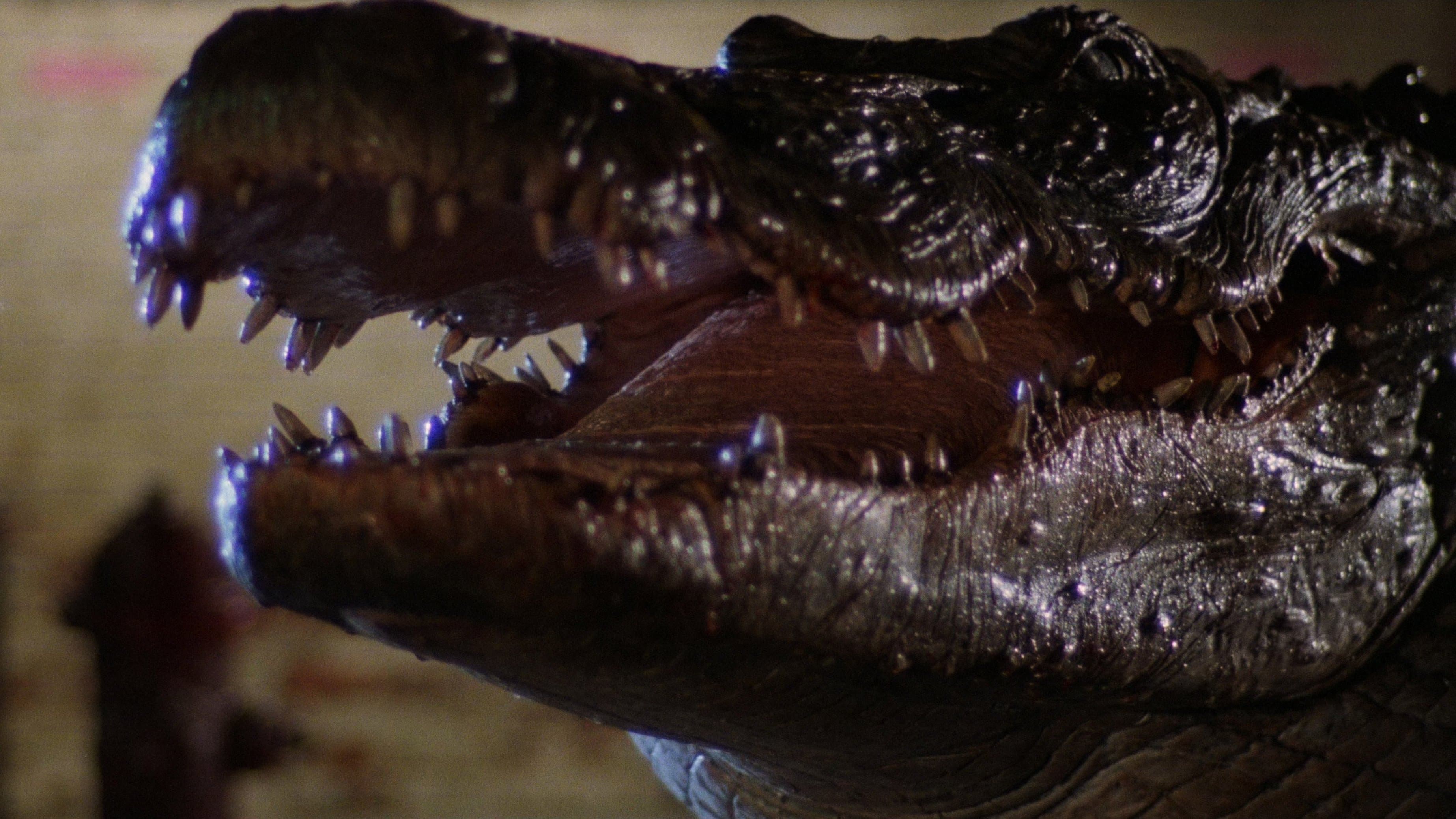 Alligator (1980) Review | Cult Horror Classic
