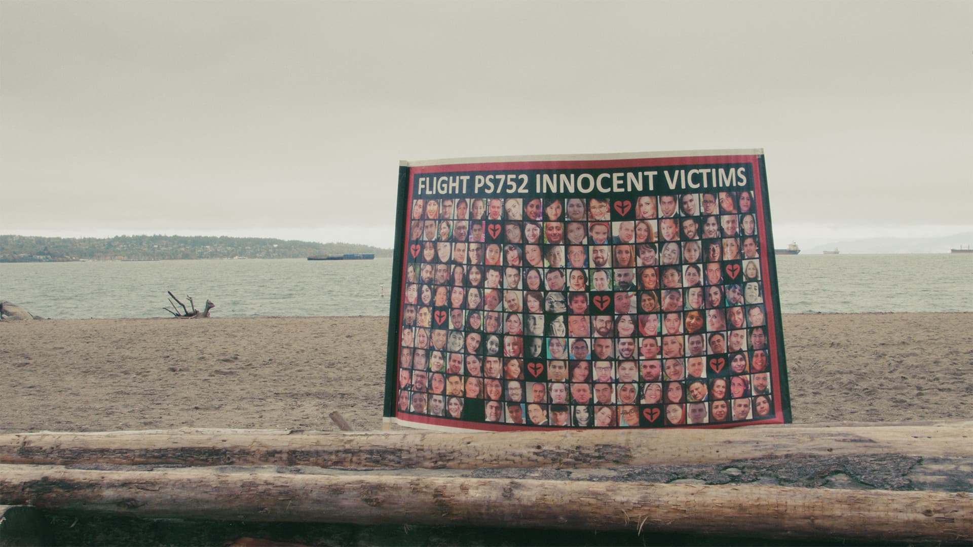 The Flight (2013): Inbal Breda Short Film Sparks Confusion