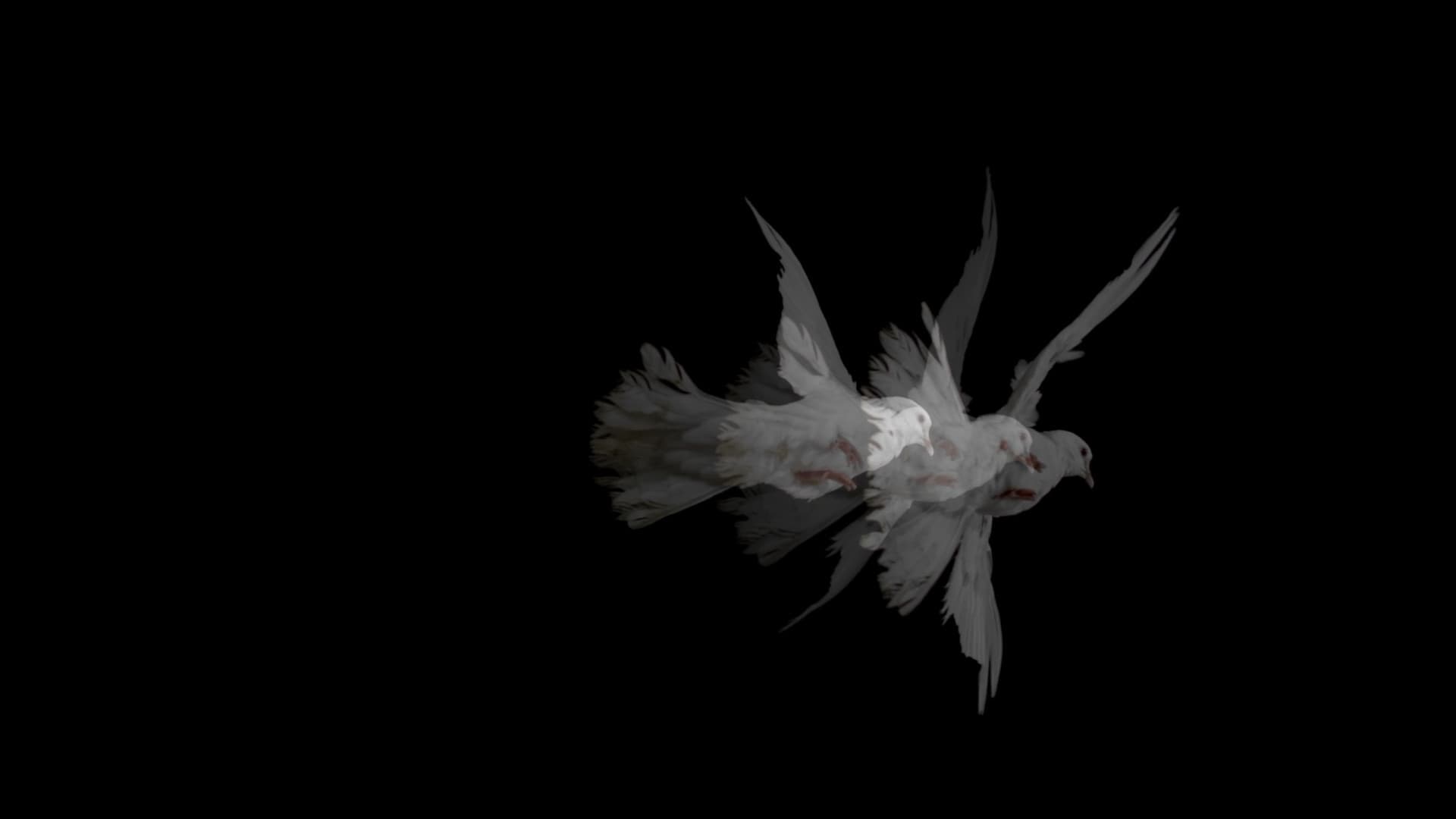 Doves (Loss of Love & Desensitization of Grief) | Film