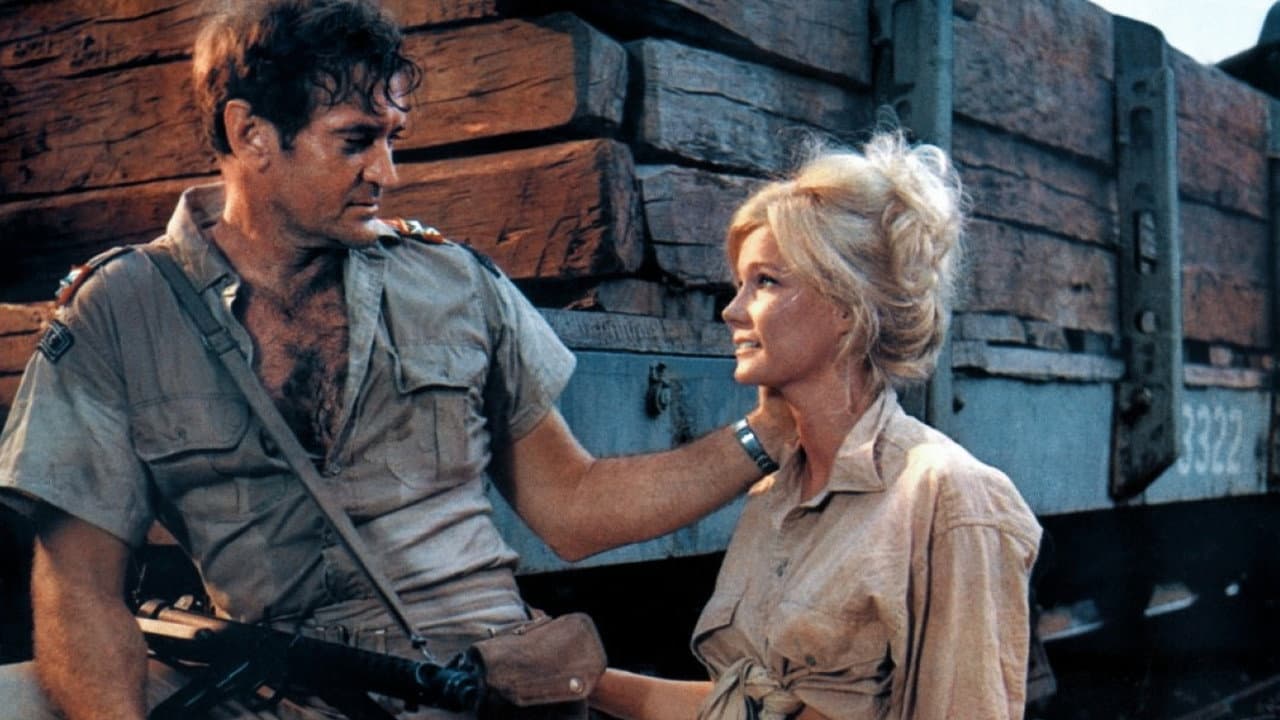 Dark of the Sun still 7