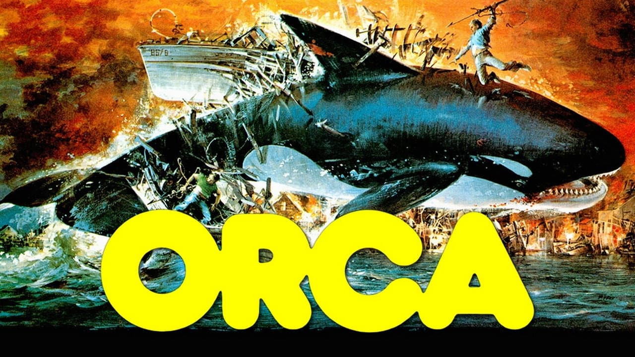 Orca still 2
