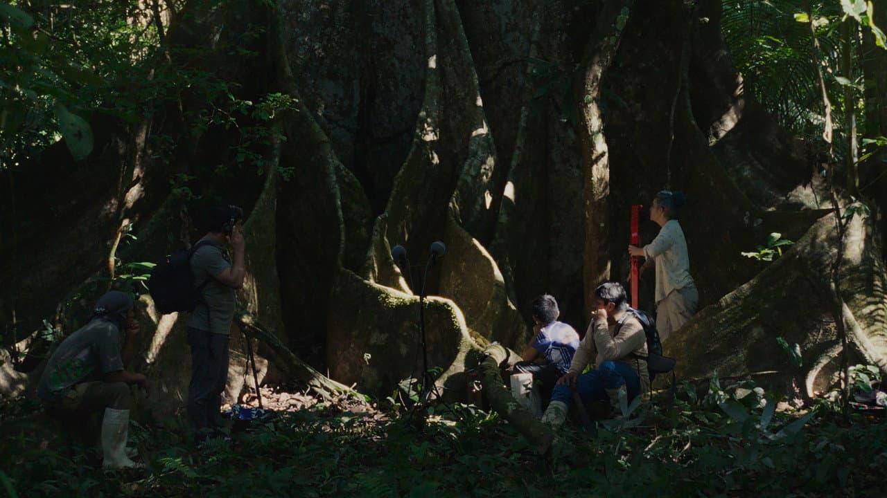 Far From the Trees (2026) - Meritxell Colell Aparicio still 2