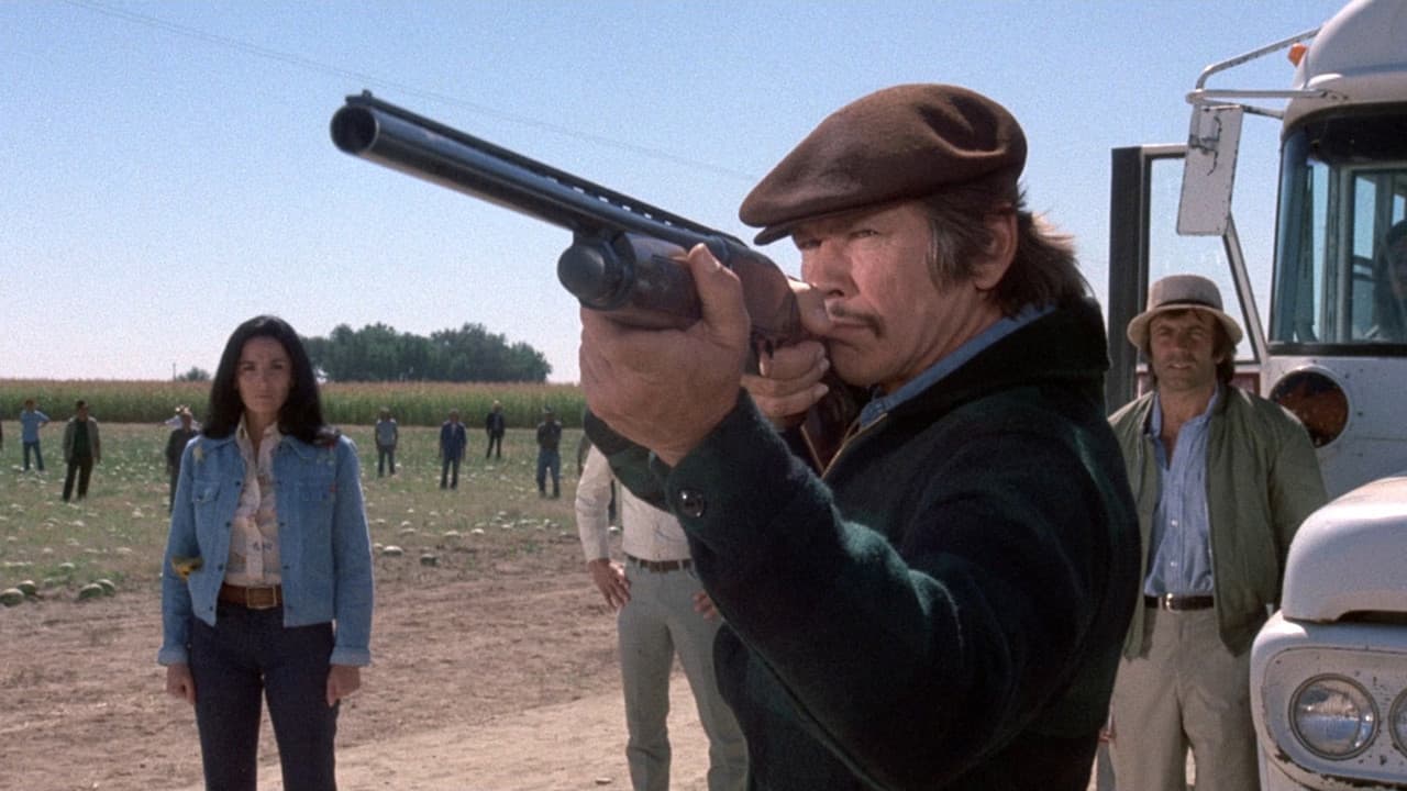 Mr. Majestyk still 2