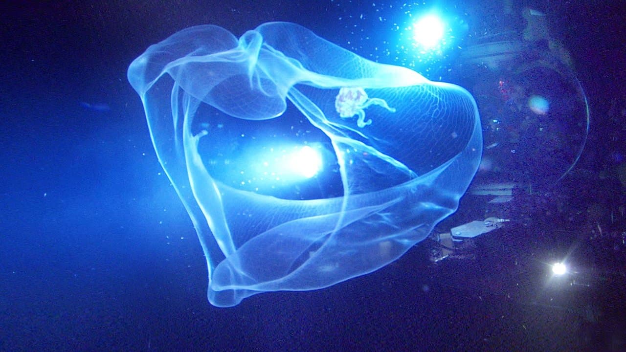 Aliens of the Deep still 1