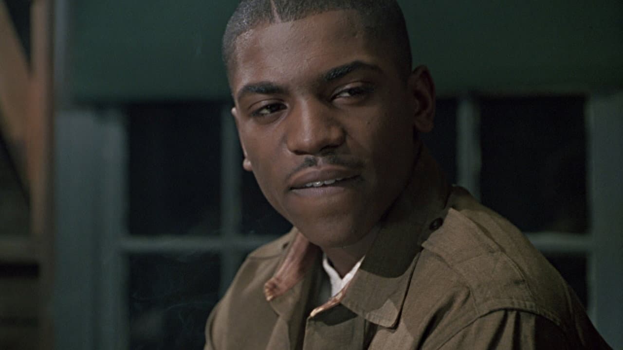 The Tuskegee Airmen still 5
