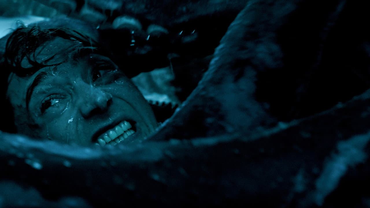 Whalefall still 5
