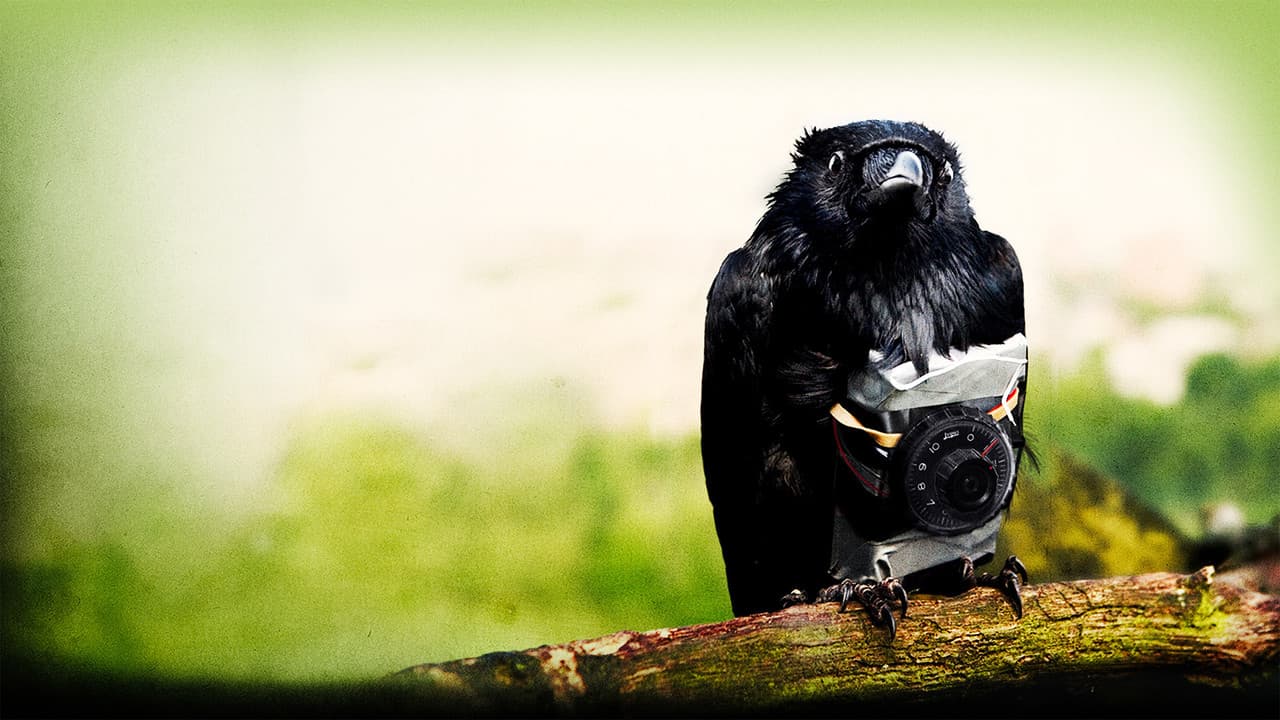 Four Lions still 1