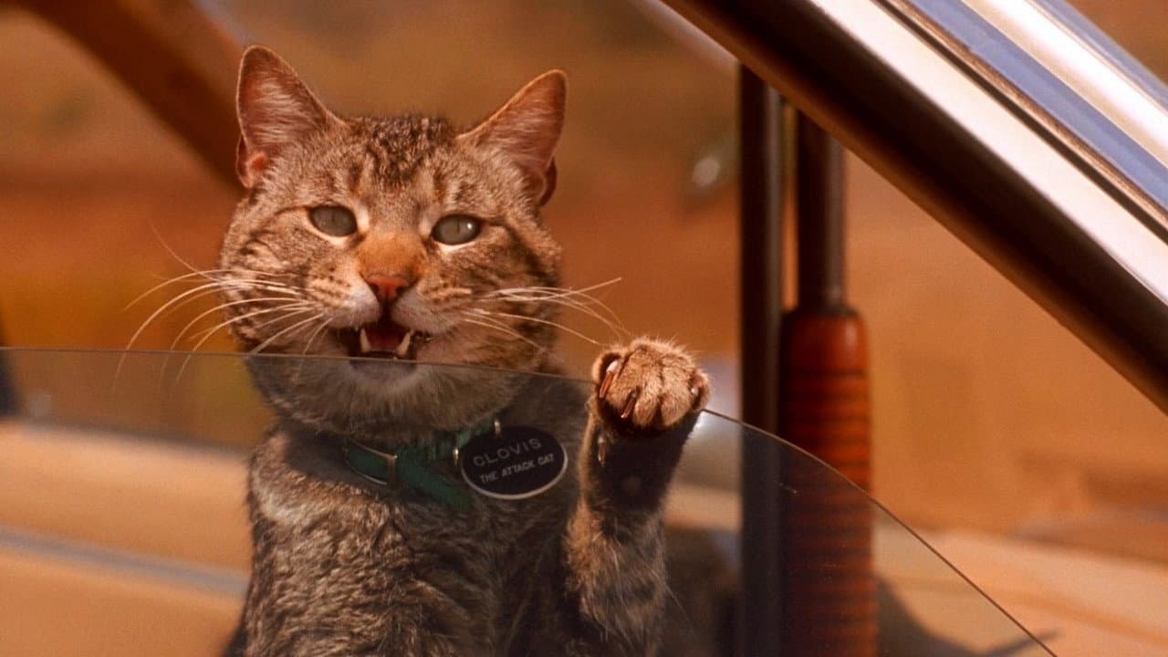 Sleepwalkers still 3